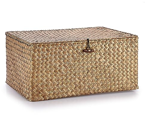 IGNPION Cesto portaoggetti in vimini intrecciato con coperchio, rettangolare, per bagno, soggiorno, decorativo, cestino portaoggetti multiuso (XL, caffè)