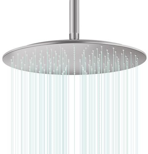 Docce Fisso Rotondo Soffione Doccia a Pioggia in Acciaio Inox Soffione Doccia a Pioggia con Getti In Silicone Anticalcare 304 Acciaio Inox Ultra Sottile (Argento, 40 cm)