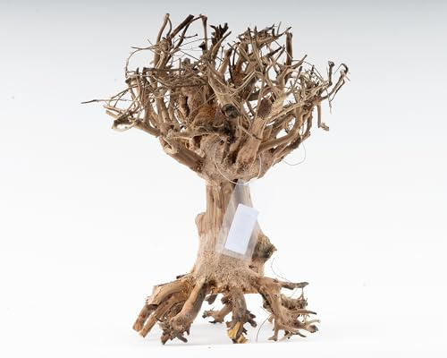 NatureHolic Mammut Bonsai | Echtholz Wurzel | Holz Aquarien Dekoration | Für Aquarium & Terrarium | Größe:M