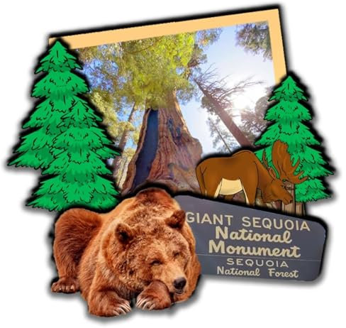Sequoia National Park, California USA 3D magnete frigorifero in legno città viaggio souvenir frigorifero artigianale artigianale magnetico frigorifero adesivi casa cucina deco regali