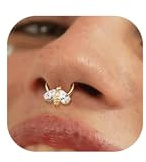 BodyBonita 16G Septum Piercing Schmuck – 316L Edelstahl Nasenring Nasenpiercing mit Zirkonia für Frauen Männer Conch Helix Piercings Tragus Daith Knorpel Ohrpiercing 14 Karat Gold/Silber 8 mm/10 mm