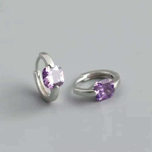 Orecchini a Cerchio Boho in Argento Sterling con zirconi cubici Quadrati F0242-G - Argento con Pietra Viola