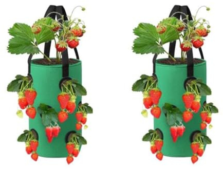 2 stück Pflanztaschen für Draußen Erdbeeren Pflanzen, Kartoffel Pflanzsack für Kartoffeln, Erdbeerpflanzen Pflanzbeutel mit 12 Löchern, Vertikaler Garten Pflanzsäcke für Draussen Tomaten