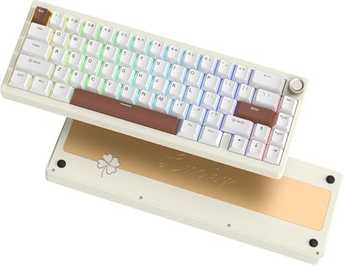 LQXQ SK65 V1 Clavier Mécanique de Jeu sans Fil, Clavier 60% en Aluminium Bluetooth 5.0/2.4GHz/USB-C, Rétro-éclairage RGB Filaire et Interchangeable à Chaud pour Mac Computer PC, Retro Crémeux Beige