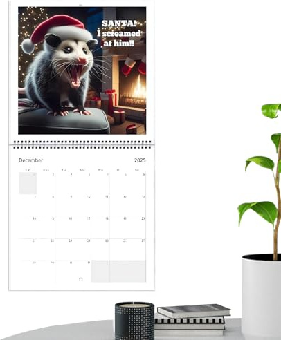 2026 Väggkalender, humoristisk skämtplanerare, väggmonterad månadskalender - för matsal vardagsrum studie skola sovsal lägenhet