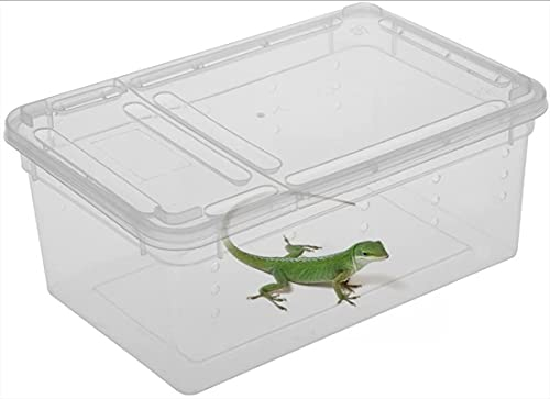 WellingA Reptilienzucht Amphibien Transparente Plastikbox Insekt Reptilien Transport Zucht Lebendfutter Fütterungsbox,2pcs