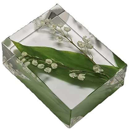 Guoyoocc Echte Pflanze Maiglöckchen Exemplar,Briefbeschwerer mit ewiger Blume,Epoxidharz,transparente kreative kleine Ornamente,Geschenk für Freundin,Beste Freundin,Geburtstag,Tag des Lehrers