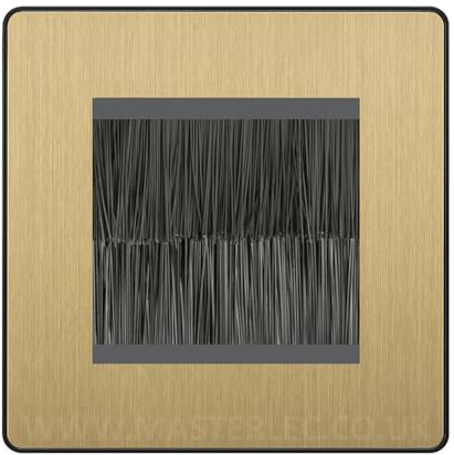 BG Evolve Satin Brass Single 2 Gang Brush Cable Entry Wall Plate Black Insert Square
