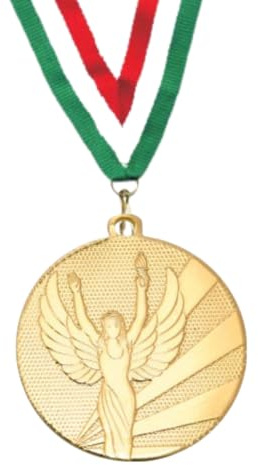 Hole Gadget Medaglia Personalizzata Premiazioni Sportive Medaglie Personalizzate in Metallo da 50 mm con Laccetto e Stampa Inclusi Premio Stock a Scelta per Tutti Gli Sport o Calcio (Oro)