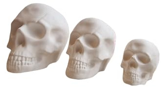 DIY Skull Pottery Painting Kit, Set of 3 Gothic Skulls with Paint and Brush, White Plaster of Paris, 3-7 cm,Halloween Pottery,Ready to Paint Halloween Pottery,Skull Gifts,Skull Painting