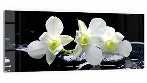 DEQORI Glasbild Acrylglas | Motiv Orchidee mit Zen-Steinen | horizontal einteilig 125x50 cm | schöne Dekoration | Wandbild für Wohnzimmer, Schlafzimmer, Flur & Küche | moderne Wanddeko