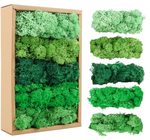 MXTIMWAN Islandmoos, Moos in 5 versch 200g für Moosbilder, Natur, Authentisch, Konserviert Deko Moos, Kunstmoos für Basteln, Deko, Moosbild basteln
