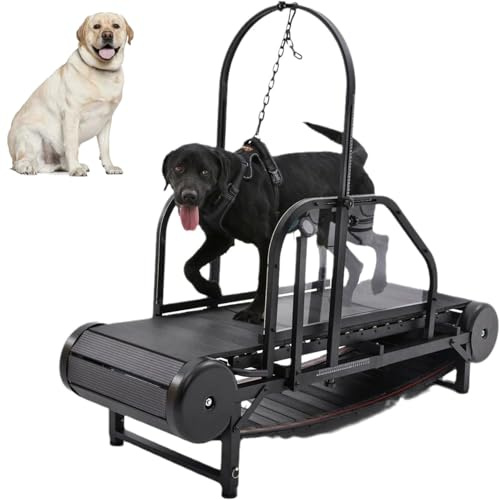 Dog Treadmill, Quiet and Adjustable with Pedometer, for Exercise and Healthy Pet Life