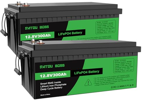 DATOUBOSS 2 * 12V 300Ah LiFePO4 Batterie, 15000+ Zyklen Deep Cycle Lithium Akku, Max. Ausgangsleistung 3840W, 200A BMS, Unterstützung in Serie/Parallelschaltung, für Wohnmobil, Solar Home System