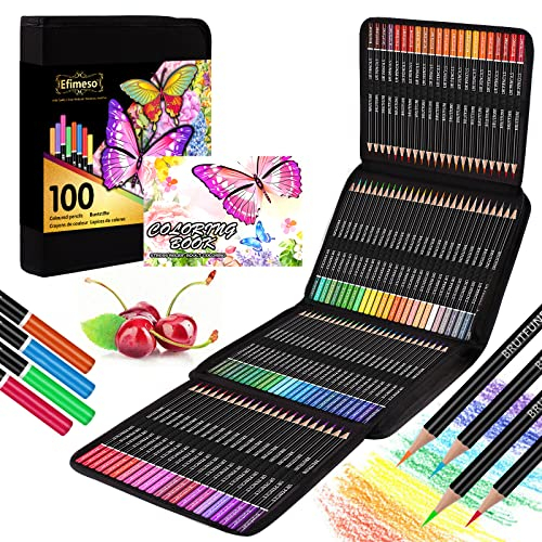 Efimeso 100 Buntstifte Set Buntstifte für Erwachsene mit Schwarzem Reißverschlussetui, Colored Pencils Ideal für Erwachsene, Kinder, Künstler, Zeichnen, Skizzieren und Ausmalen