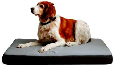 Maxtin -Cama Perro - Cama Perro Grande - Extra Grande- Viscoelástica y Ortodpedica - Lavable, Hidrofuga y Desenfundable. (Gris, 80x60x8,5 cm)