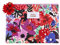 DLP - Friedensmappe Instant Flower, mehrfarbig, Federmäppchen