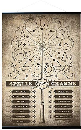 Grupo Erik Magnetische Posterleiste mit Poster - Harry Potter Zaubersprüche und Verwünschungen - Poster mit Rahmen