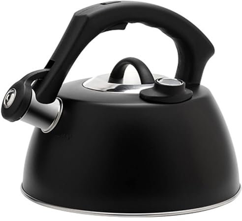 Bouilloire à thé avec thermomètre pour cuisinière à gaz, en acier inoxydable de qualité alimentaire, bouilloire sifflante noire pour cuisinière, plaque à induction, cuisinière à gaz (2,5 l)