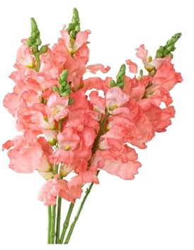 HGTYDV2 5 Stück künstlicher Hyazinthen-Blumenstrauß, 41,9 cm, Seidenhyazinthen, lebensechte Kunstblumen mit Stiel, luxuriöse künstliche Hyazinthenblumen für Küche, Zuhause, Garten