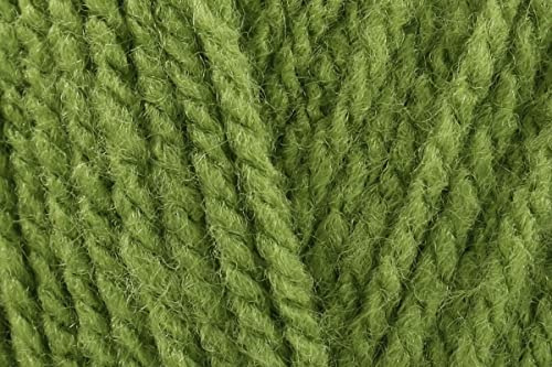 Sirdar Hayfield Bonus DK Crochet Yarn, 100% Acrylic Double Knitting Wool for Jumpers Toys Sweaters - 100g Balls - Fern Green (603) - Pack of 3