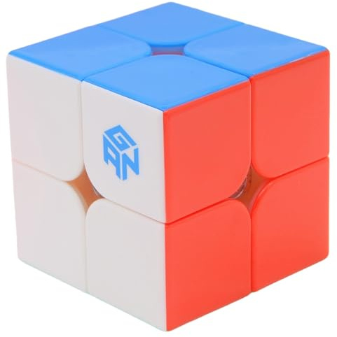Bukefuno GAN 251 Leap Magnetischer Speed Zauberwürfel Gans 2x2 GAN 251 Leap 63 Stickerlos Magnet Magic Cube Mini 2x2x2 Puzzle Frosted Oberfläche (Frosted Oberfläche Version)