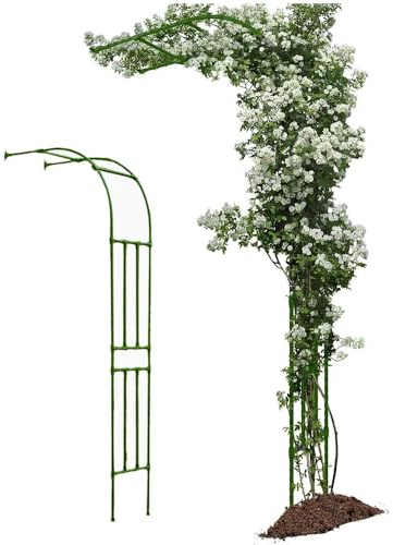 Demi arche de jardin pour plantes grimpantes, treillage en métal, support de pergola mural pour vignes et lianes grimpantes, vert, 260 x 240 cm, idéal pour la décoration de jardin.