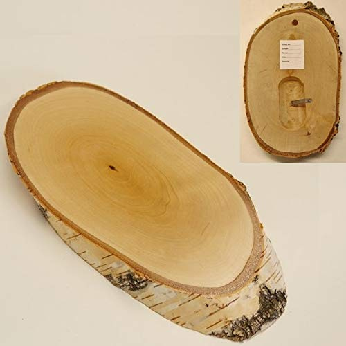 Birke Schild Trophäenschild Reh groß Rehbock Geweih Baumscheibe Baumschild Natur Holz modern mit Kieferfach