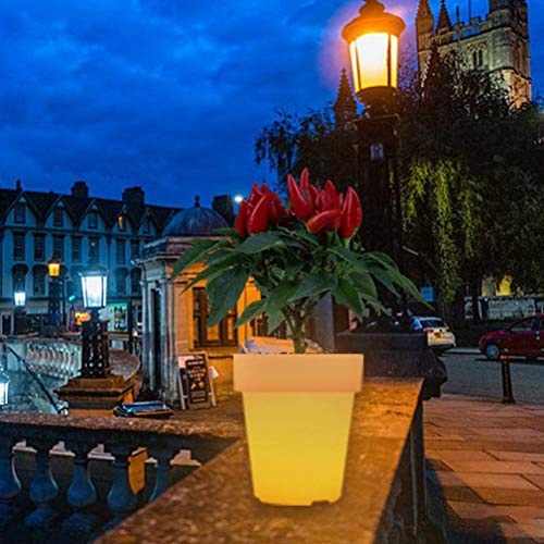 Zerodis Otros Suministros de Jardinería Maceta Maceta Iluminada ABS Impermeable Luz Recargable y de Control Remoto para el Jardín del Hogar y la Decoración del Balcón Flor Luminosa LED (Con control