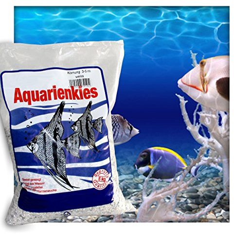 Kieskönig Aquarienkies Aquariumsand Bodengrund 3-5 mm Aquariensand hochrein Naturweis 5 kg (1x 5 kg Sack)
