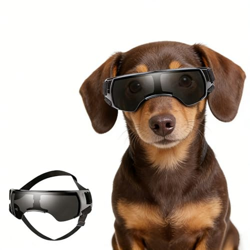 ENJOYING Dog Sunglasses Small Breed, Anti-UV Puppy Goggles for Small Dogs, Windproof Outdoor Dog Eye Protection for Driving Biking, Adjustable Head Straps, Cute Black