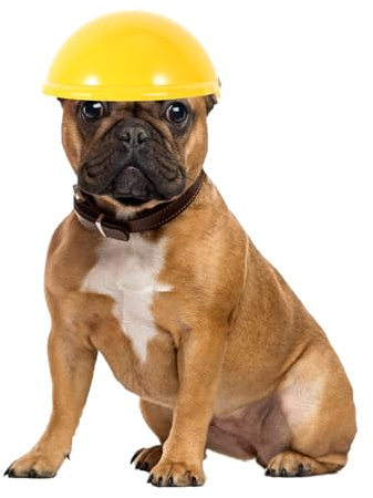 VALICLUD Mehrzweck Hundehelm aus Abs mit Sicherheitsmaterial und Leichtem Design Gelber Haustierhelm für Hunde und Katzen als Outdoor Zubehör