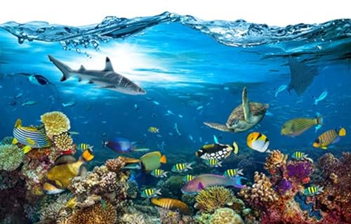adrium Acryl-Bild 140 x 90 cm: Unterwasserparadies Hintergrund Korallenriff Tierwelt Natur Collage mit Hai Mantarochen Meeresschildkröte bunter Fisch mit Welle (116778723)