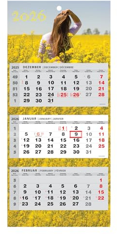 Kalender 2024 väggkalender 3-månaders kalender väggplanerare tremånadskalender kvinna