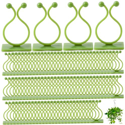 Uanqfegy Lot de 100 Clips muraux pour Plantes, Support adhésif Puissant, Clips pour Plantes grimpantes, Crochets Invisibles sans perçage pour pothos, décoration intérieure, Gestion des câbles