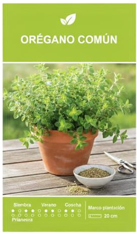 Planta Aromática Tradicional: Semillas de Orégano para Huerto Casero DECOALIVE