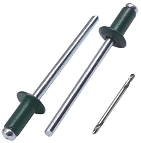 SKIR'CO (100 Stück) Blindnieten lackiert 4,0 x 8 mm, Aluminium Popnieten, Bohrer enthalten (Moosgrün RAL 6005)