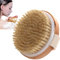 Brosse à Sec Corps,Brosse Massage à sec,Brosses Anti-Cellulite,Brosse Exfoliante,Bain Brosse Corps,Brosse Masseuse Corps,Doux Brosse Massage Crops,Rend la Peau Lisse et Propre,Tête Ronde,10,5cm,1Pc