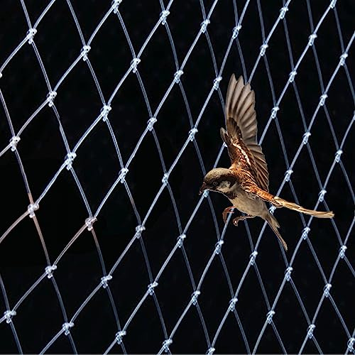 Rete per Uccelli da Giardino, Rete Anti Piccioni per Balconi Trasparente, Rete Anti Uccelli in Nylon per Frutta, Verdura, Piante e Piscina, Controllo degli Uccelli(Size:3m x 5m)