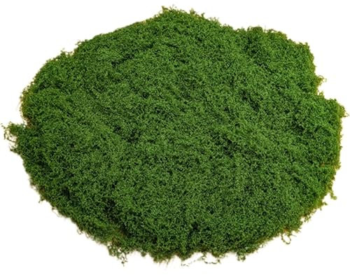 YUNXIASW Islandmoos zum Basteln, 50g Natur Konserviert, Künstliches Deko, Wiederverwendbare Moosblätter für Schöne Weihnachtsdekoration oder Blumenarrangements