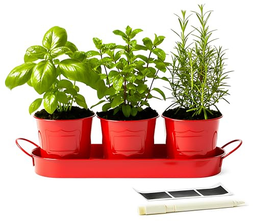 DIVCHI Metal Herb Planter Pots Set of 3 with Tray & Chalk Labels – Indoor Herb Garden Kit for Kitchen Windowsill – Decorative Herb Pots for Basil, Mint, Rosemary – Indoor & Outdoor Use (Red)