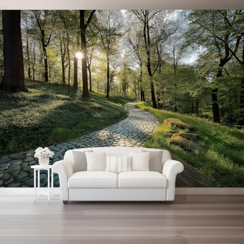 Non-Woven Wallpaper Mural – Misty Forest Green Stone Path Rocks Wall Art for Living Room & Bedroom – 250 X 175 Cm Large Wall Mural Photo Wallpaper for Home Interior Decoration