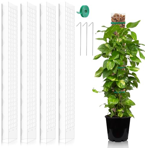 FAELNK Monstera Rankhilfe 4 Stück 24 Zoll Moosstab Pflanzen Moosstangen Set Rankhilfe Zimmerpflanze Moss Pole aus Kunststoff Erweiterbar DIY Moosstab für Monstera Weiß