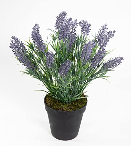 Seidenblumen Roß Künstlicher Lavendelbusch/Lavendel 34cm im Topf FI | Mediterraner Dekobusch mit 21 Blütenköpfen aus Kunststoff. Ideale Tischdeko & Fensterbank-Begrünung für Küche, Bad & Büro