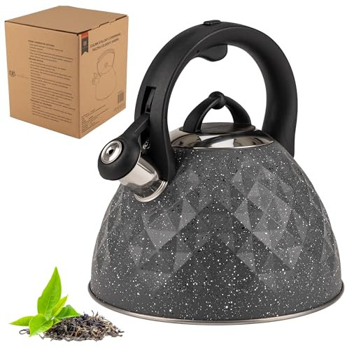 KARL HAUSMANN Bouilloire Inox Gris - 3L - Bouilloire Sifflante - Bouilloir Induction, Gaz - Poignée Résistante à la Chaleur - Bouilloir Traditionnelle Tous Feux - Retro - Théière Gaz - Bouilloir