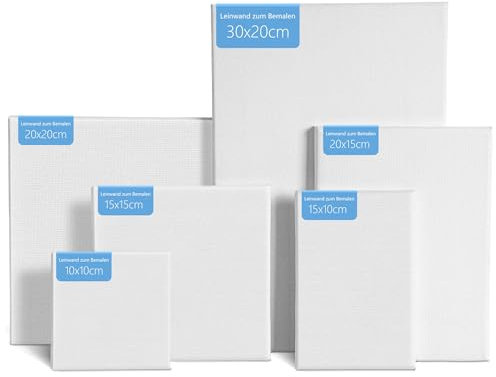 6 Stück Leinwand zum Bemalen, Leinwände Set aus Hochwertiger Leinenfaser, Leere Canvas in Verschiedenen Größen, Geeignet für Anfänger, Studenten, Künstler, zum Zeichnen, Malen, Skizzieren