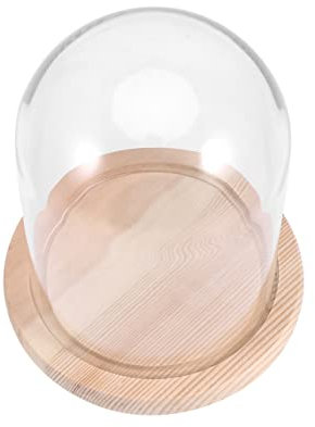 CONGARTENO Flower Glass Dome 9x12cm Handmade Display Domes Perfect for Home Decor Ideal Present