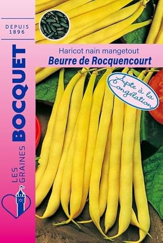 Sachet de graines de Haricot nain beurre de Rocquencourt - 110g - 110 g - Haricot nain beurre - LES GRAINES BOCQUET