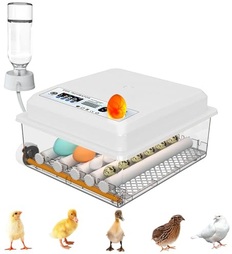 Umisu Automatischer Eierinkubator für 12-16 Eier, Brutmaschine mit Temperaturkontrolle, verstellbaren Rollen, automatischer Wasserzufuhr und integriertem Schierlampe, Weiß