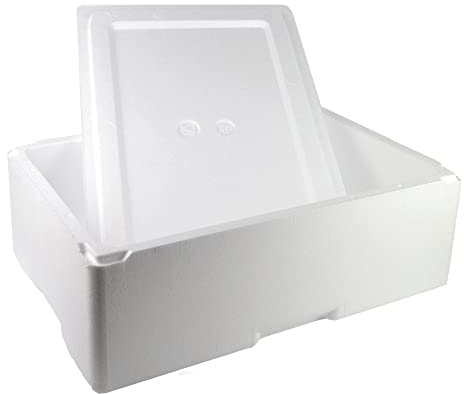 DUE ESSE S.N.C. DI SABATINI ALDO & C. PZ 1 SCATOLA TERMICA GRANDE BIANCA RETTANGOLARE CM 54 X CM 36 ALTA CM 20 + COPERCHIO CASSA PER ASPORTO ALIMENTI MAXI LARGE